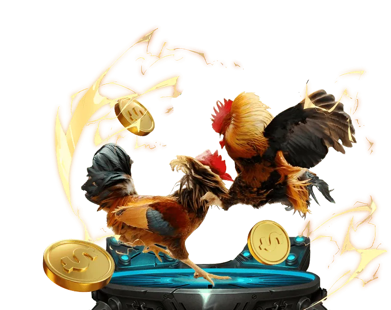 Cộng đồng và hỗ trợ